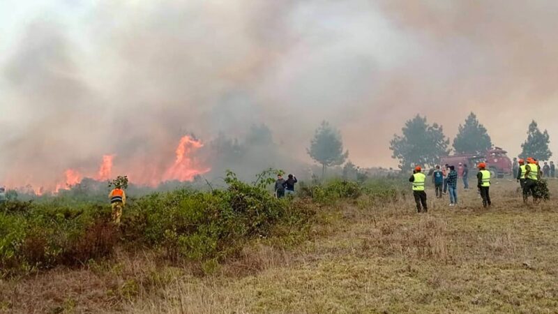 Peru decreta emergência em três áreas afetadas por incêndios florestais