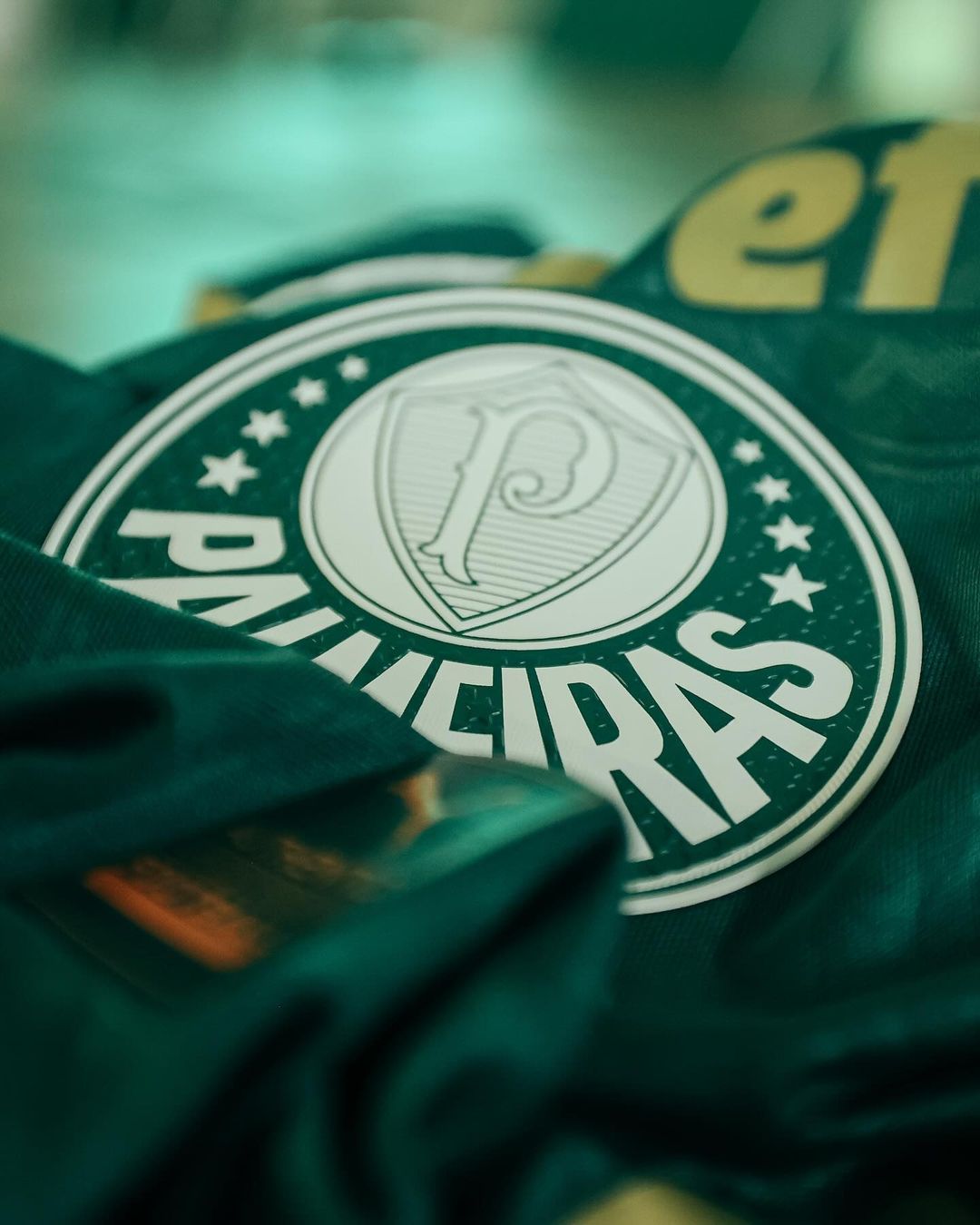 Classificação do Palmeiras: o que time tem de fazer para conquistar o Brasileirão