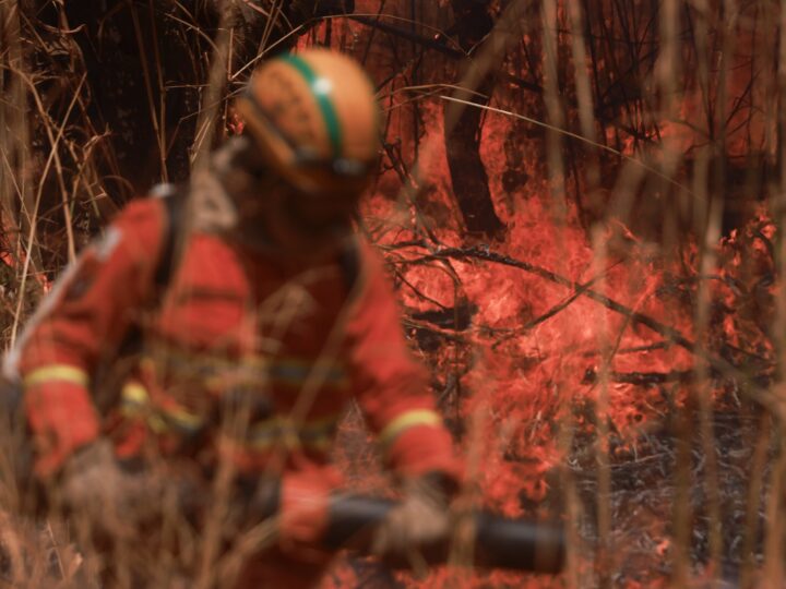 Bombeiros do DF terão férias suspensas para combater queimadas