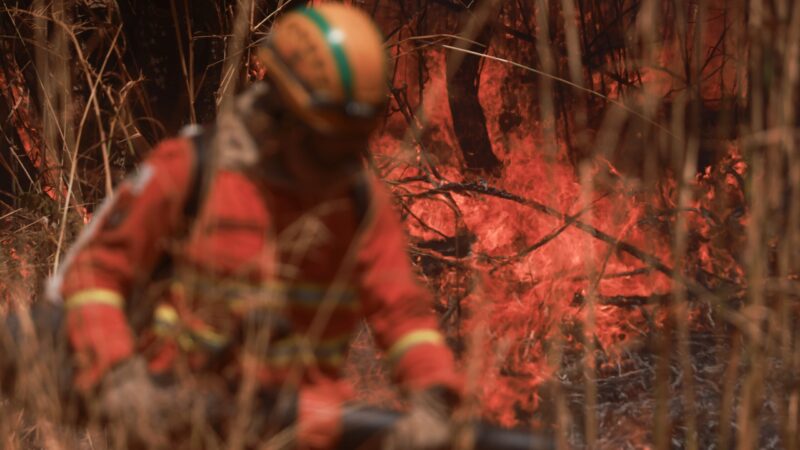 Bombeiros do DF terão férias suspensas para combater queimadas