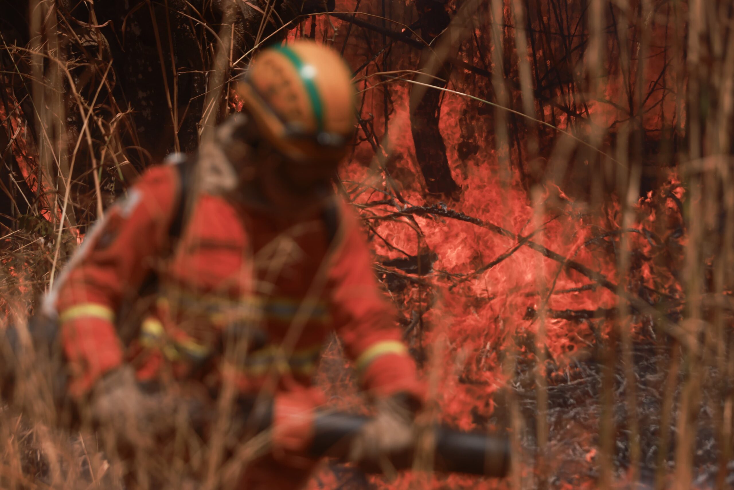 Bombeiros do DF terão férias suspensas para combater queimadas