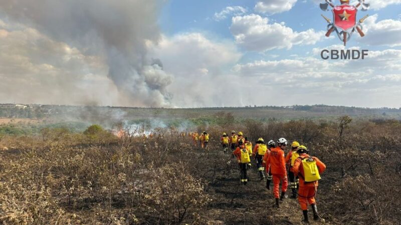 Cerca de 250 combatentes seguem trabalhando para extinguir incêndio no Parque Nacional de Brasília