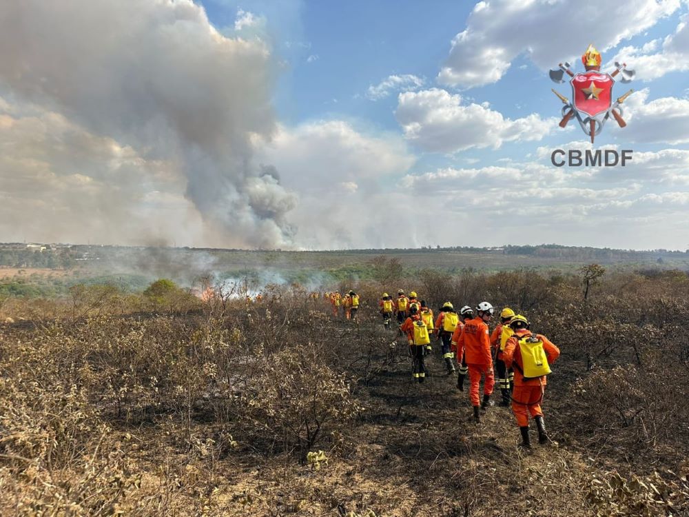 Cerca de 250 combatentes seguem trabalhando para extinguir incêndio no Parque Nacional de Brasília