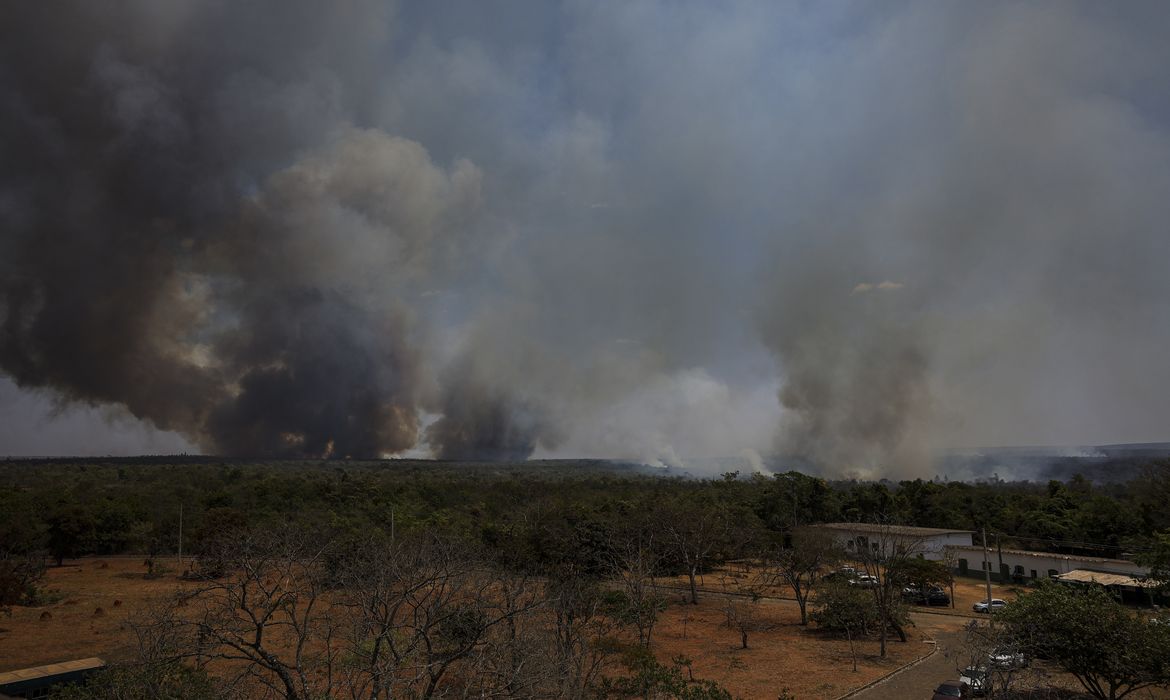 Brasília (DF), 16/09/2024 - Grandes focos de incêndio atingem áreas do Parque Nacional de Brasília. Foto: Marcelo Camargo/Agência Brasil